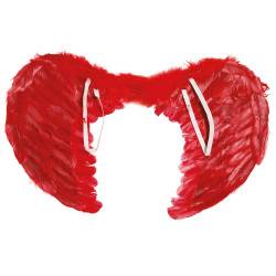 Sarkano spalvu spārni, 60x50 cm